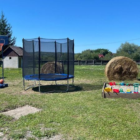 Pensiunea Ducu Scoreiu Bagian luar foto