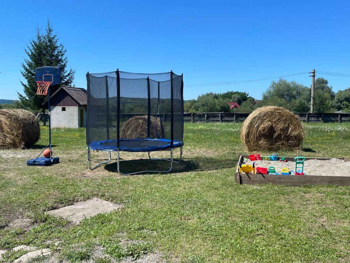Pensiunea Ducu Scoreiu Bagian luar foto