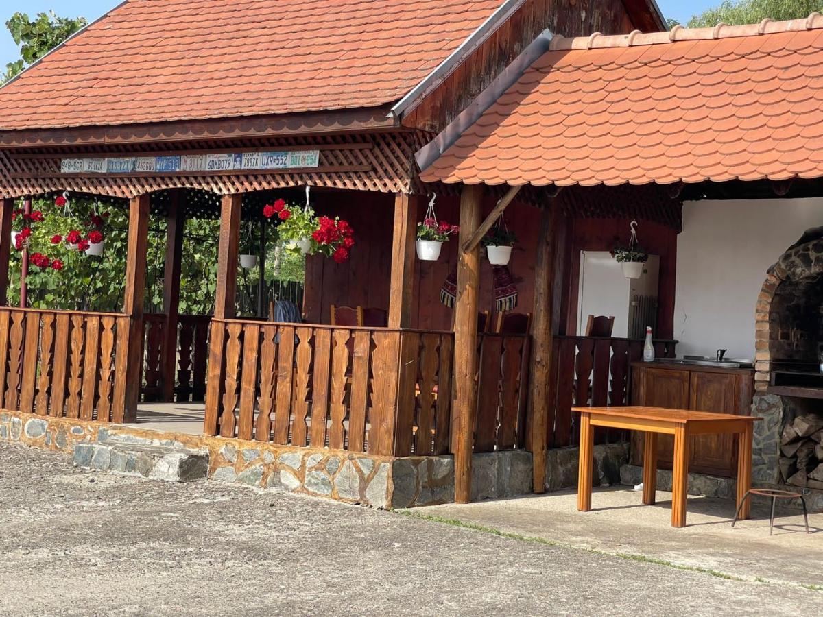 Pensiunea Ducu Scoreiu Bagian luar foto