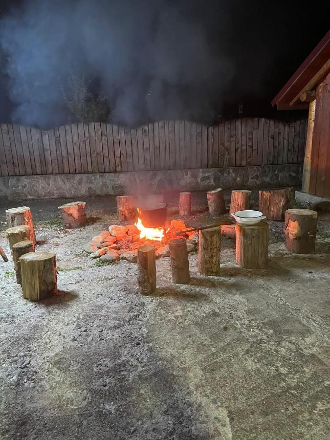 Pensiunea Ducu Scoreiu Bagian luar foto