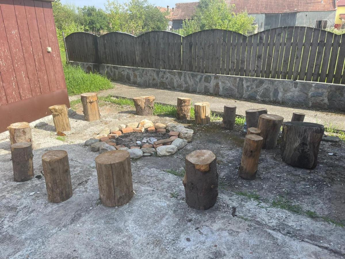 Pensiunea Ducu Scoreiu Bagian luar foto