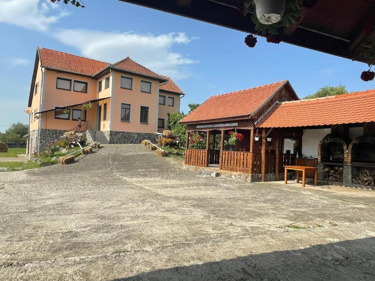Pensiunea Ducu Scoreiu Bagian luar foto